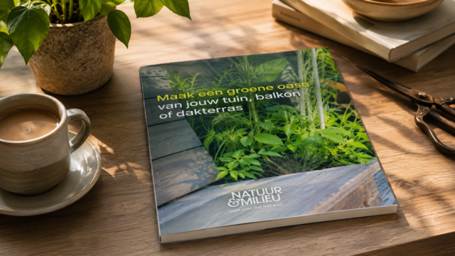 Een magazine met de titel “Maak een groene oase van jouw tuin, balkon of dakterras” van Natuur & Milieu op een houten tafel in natuurlijk daglicht, omringd door een kop koffie en planten.